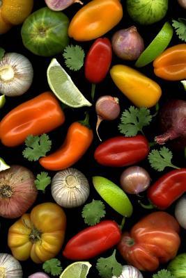 Read Salsa Ingredients Journal: 150 Page Lined Notebook/Diary -  file in ePub