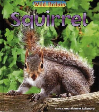 Full Download Wild Britain: Squirrel : Squirrel (Wild Britain) - Louise Spilsbury | PDF