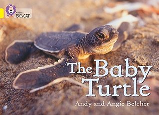 Download The Baby Turtle: Band 03/Yellow (Collins Big Cat) - Andy Belcher | ePub