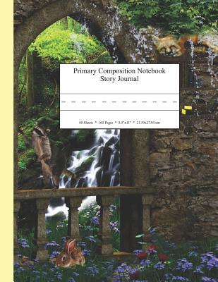 Full Download Primary Composition Notebook Story Journal: Educational Writing and Drawing Handwriting Activity Workbook - Dakota Sky Journals file in ePub