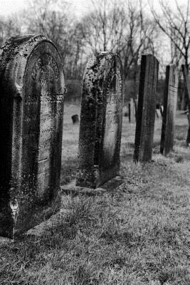 Read Tombstones in Autumn Gothic Notebook: Graveyard Gothic Series - Pagan Essentials file in PDF