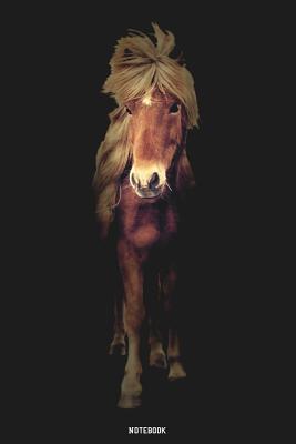 Download Notebook: Iceland Pony college book diary journal booklet memo composition book 110 sheets - ruled paper 6x9 inch -  file in ePub
