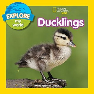 Download Explore My World: Ducklings (Explore My World) - Marfe Ferguson Delano file in PDF
